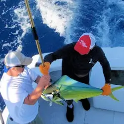 Mate and customer with gaffed mahi a Gecko Ocracoke charter.