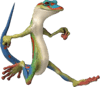 drawing of a gecko