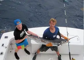 Another marlin being held up before being released by the Gecko crew.