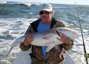 Man hugging a giant red drum caught on Drumrunner.